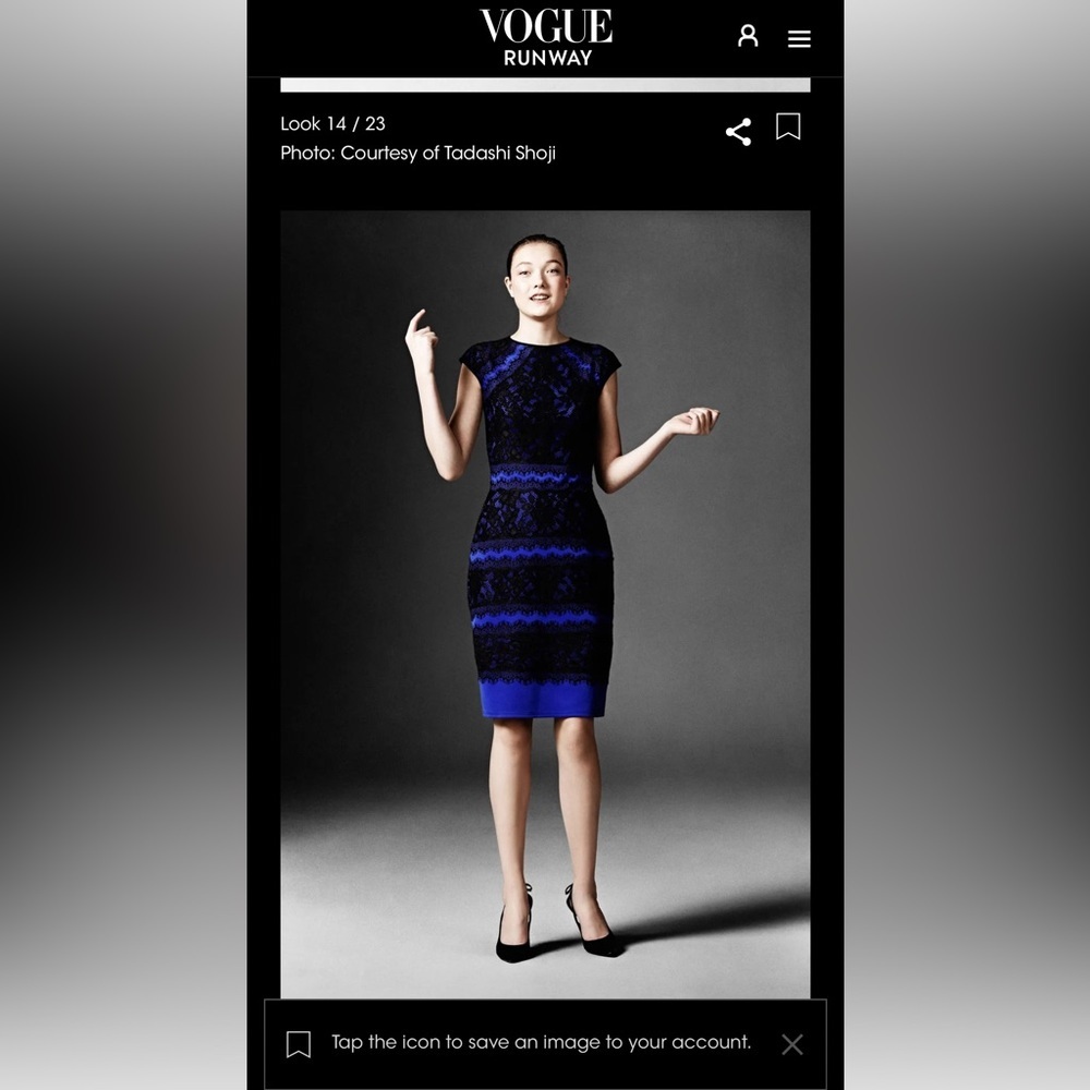 Tadashi Shoji Lace Cocktail Dress Short Sleeve Sheath Pencil Skirt Color Block 2 - Picture 6 of 16